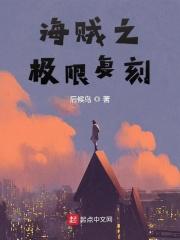 海贼之极限复刻