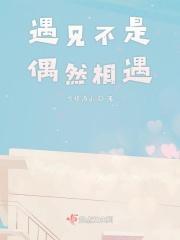 遇见不是偶然相遇