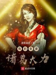 我的老婆诸葛大力