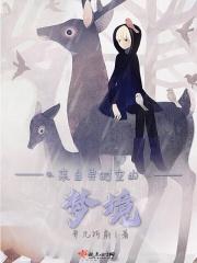 来自异时空的梦境