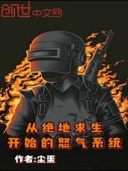 从绝地求生开始的怒气系统