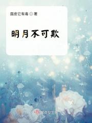 此间风华有点乱