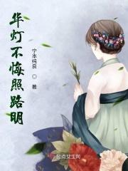 华灯不悔照路明