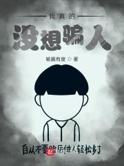 我真的没想骗人