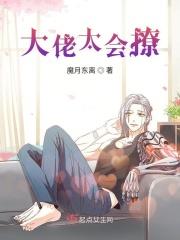 大佬太会撩