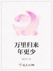 万里归来年更少