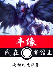 我在丰缘当馆主