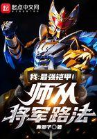我:最强铠甲!师从将军路法