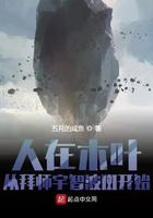 人在木叶，从拜师宇智波斑开始