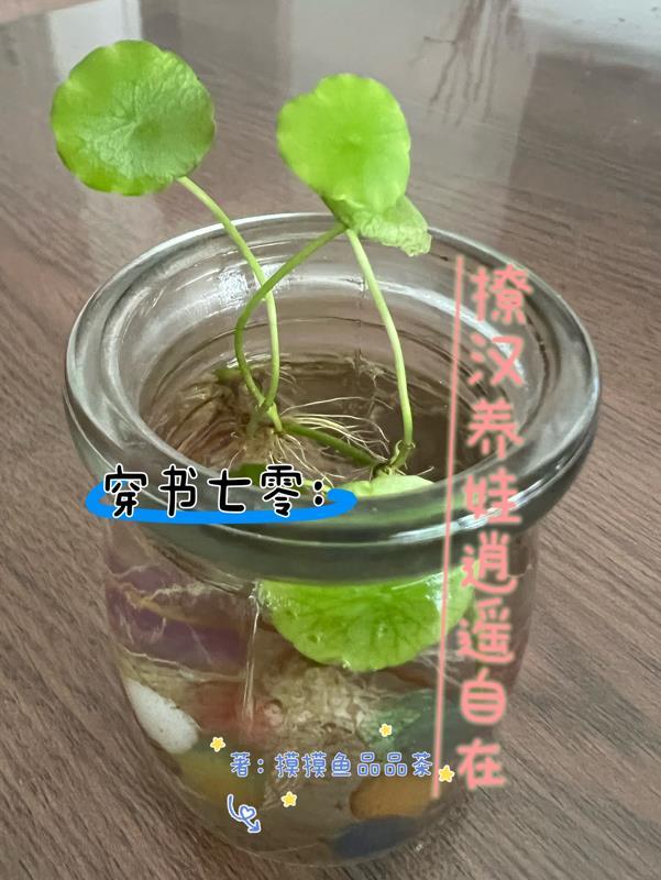 穿书七零:撩汉养娃逍遥自在